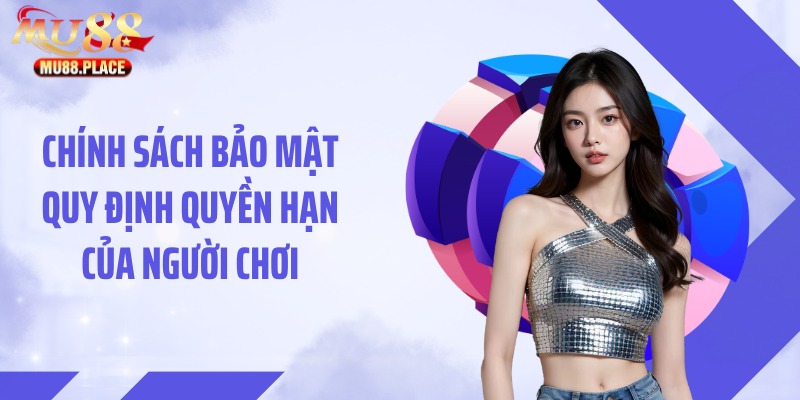 Chính sách bảo mật quy định quyền hạn của người chơi